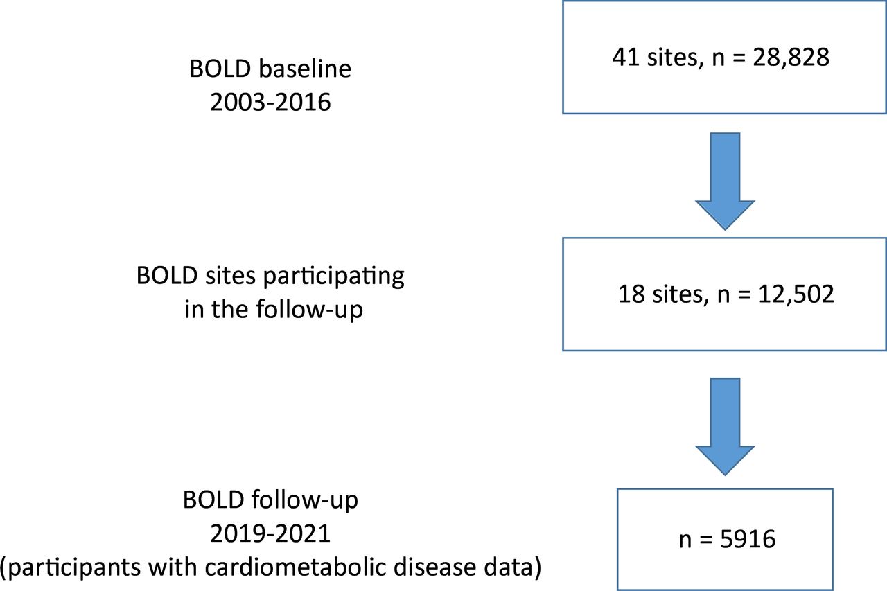 Lung function and onset of cardiometabolic diseases in the longitudinal ...