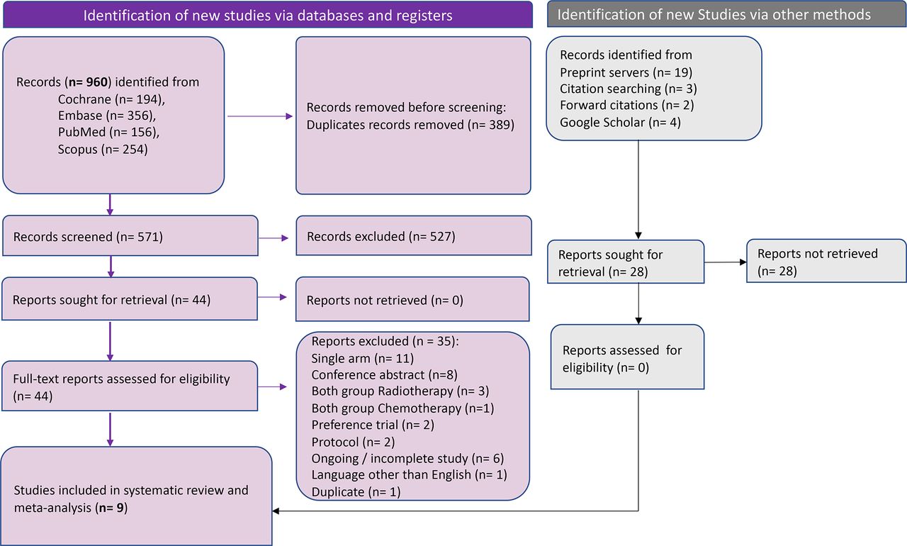 IPDMA – RADICAL – NSCLC: individual participant data meta-analysis and ...