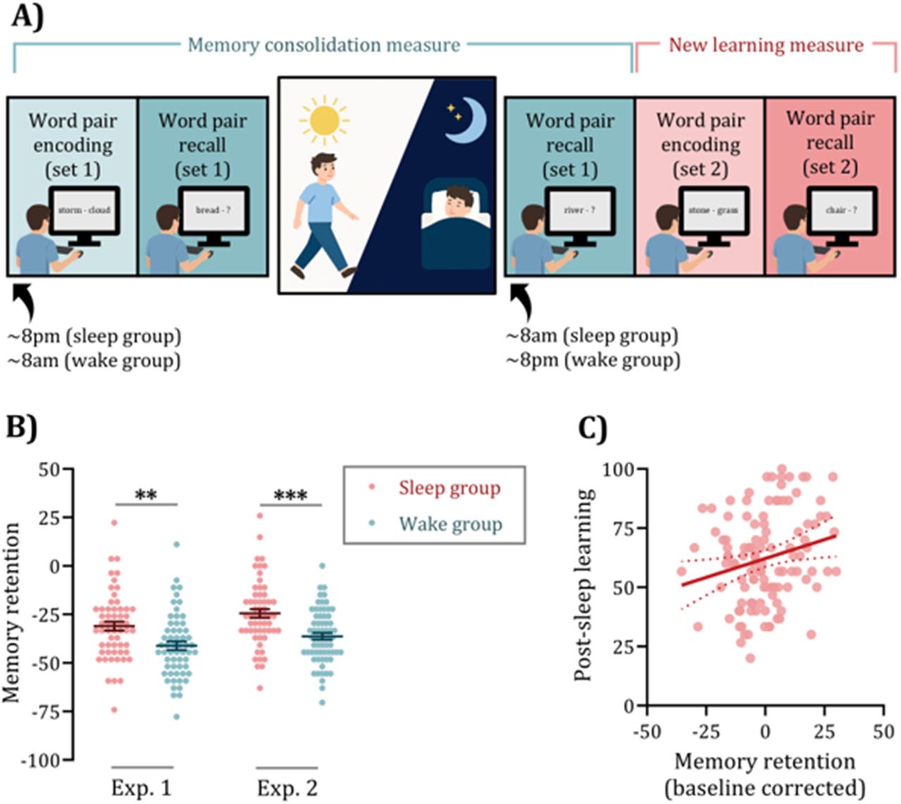O16 Does overnight memory consolidation prepare the brain for next-day ...